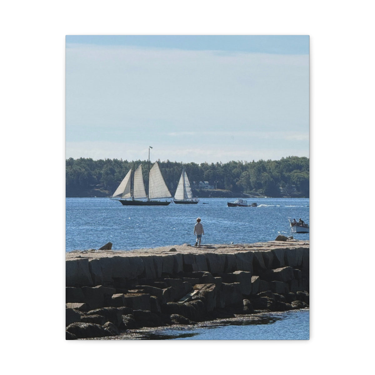Schooner Sailboat Canvas (Rockland, Maine, USA)