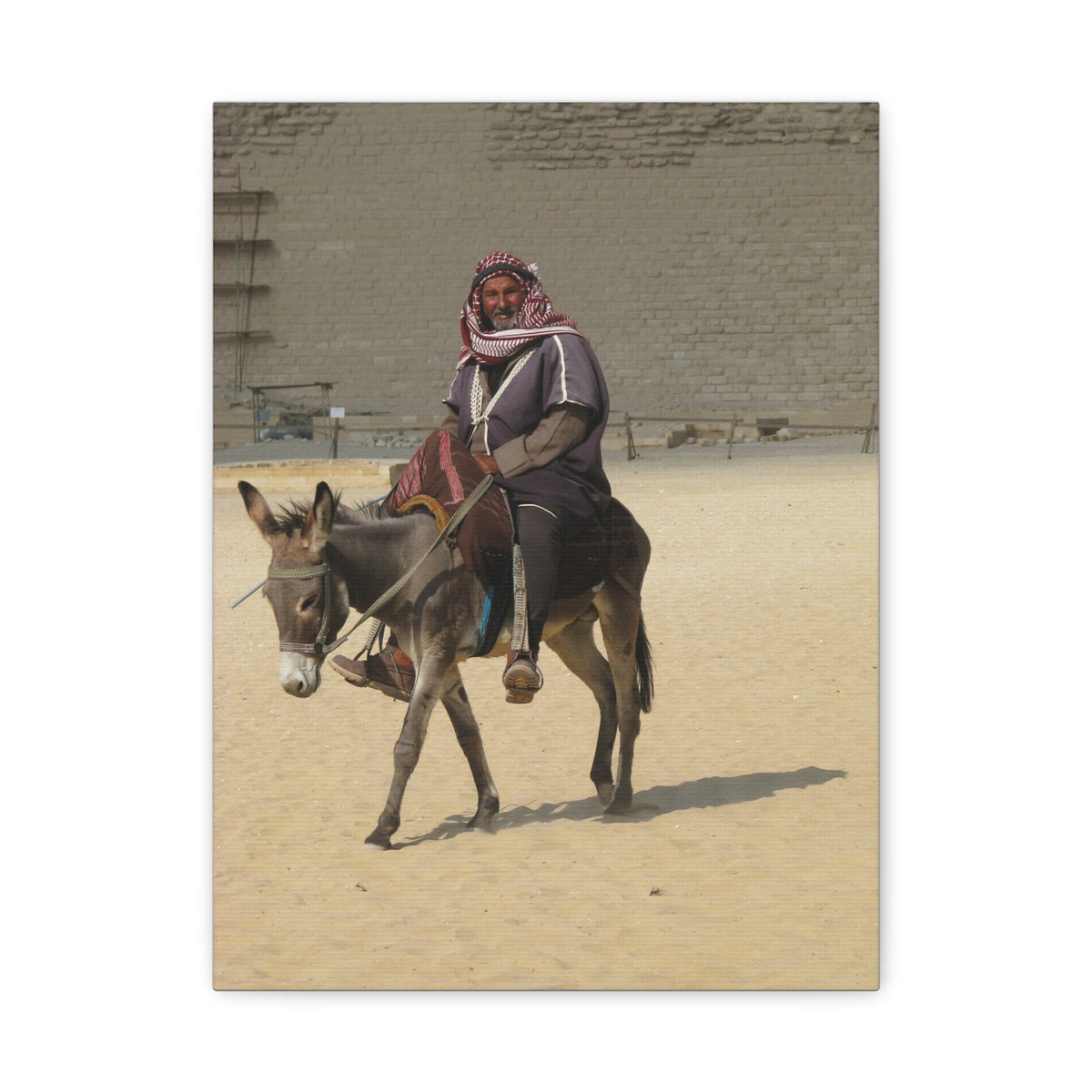 Desert Traveler on Donkey Matte Canvas Wall Art