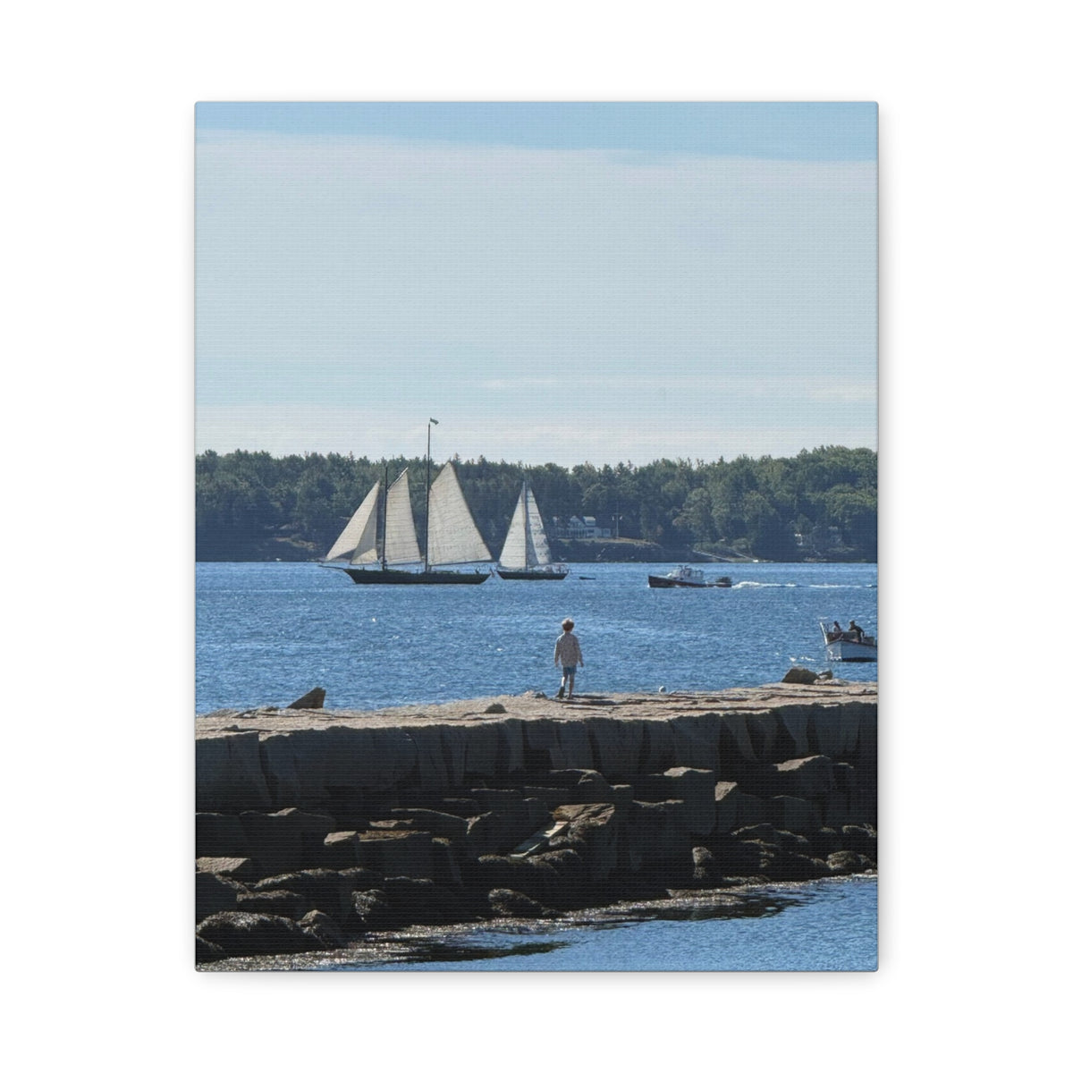 Schooner Sailboat Canvas (Rockland, Maine, USA)
