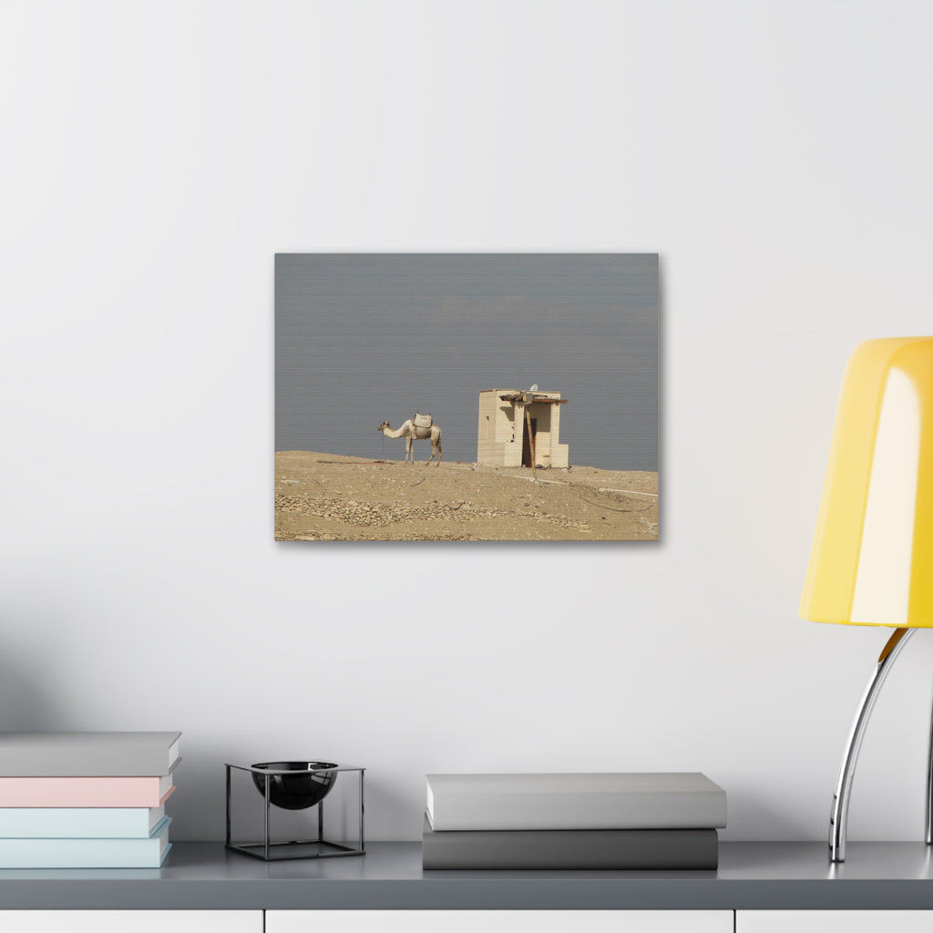 Desert Camel Landscape Canvas Wall Art