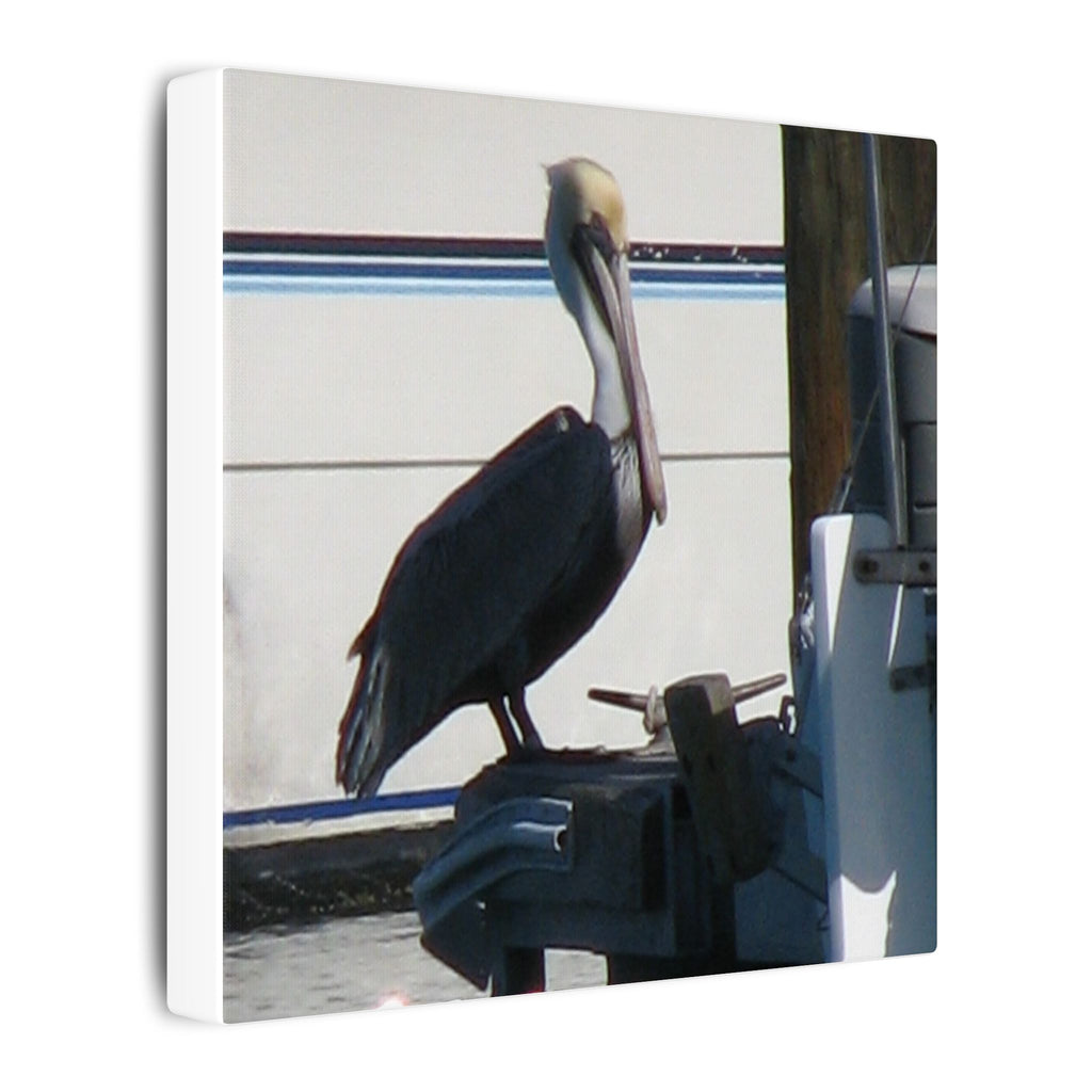 Pelican Coastal Wildlife Matte Canvas Wall Art