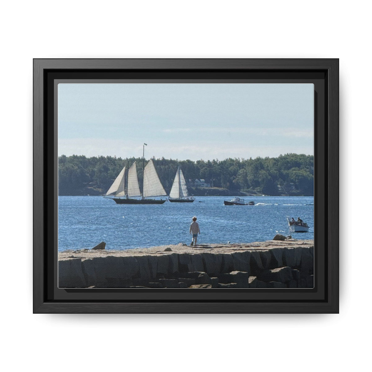 Framed Canvas Sailboat Harbor Seascape Wall Art