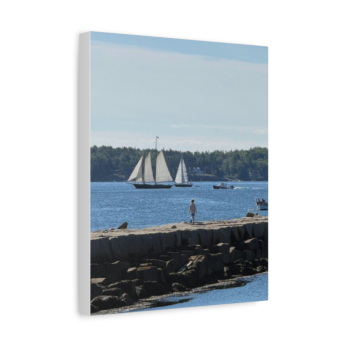 Schooner Sailboat Canvas (Rockland, Maine, USA)