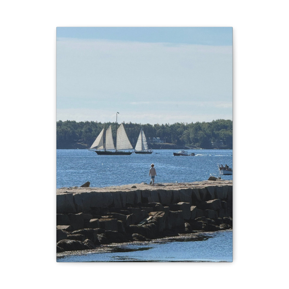 Schooner Sailboat Canvas (Rockland, Maine, USA)