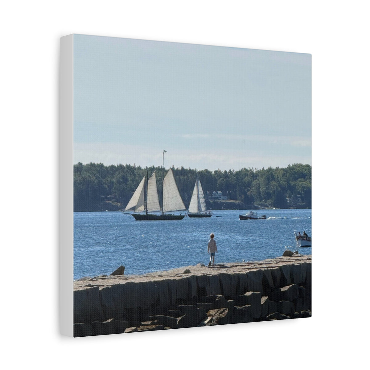 Schooner Sailboat Canvas (Rockland, Maine, USA)