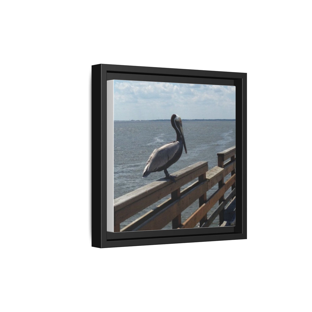 Brown Pelican Photo Canvas Framed Wall Art | Coastal Pier Seascape (USA)