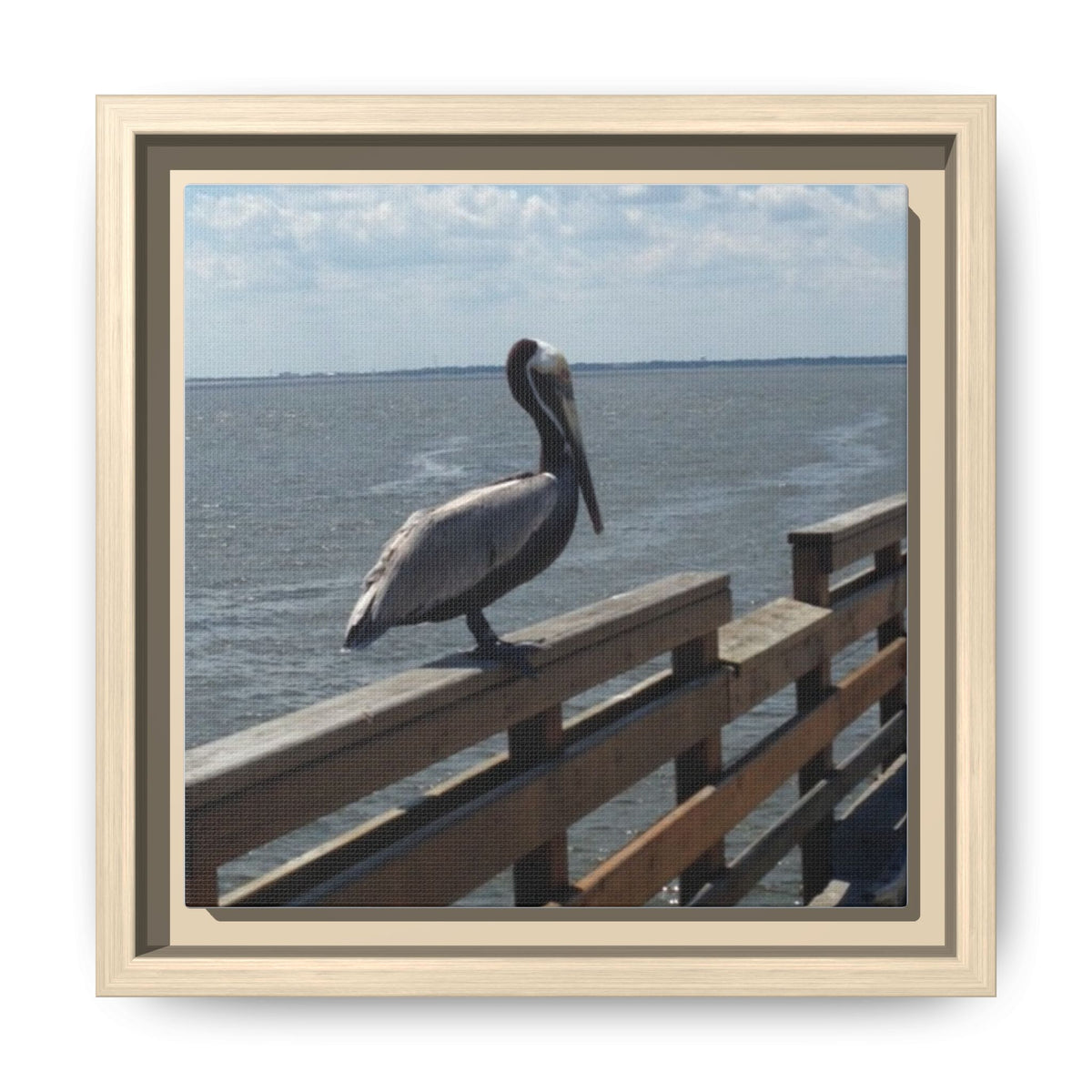 Brown Pelican Photo Canvas Framed Wall Art | Coastal Pier Seascape (USA)