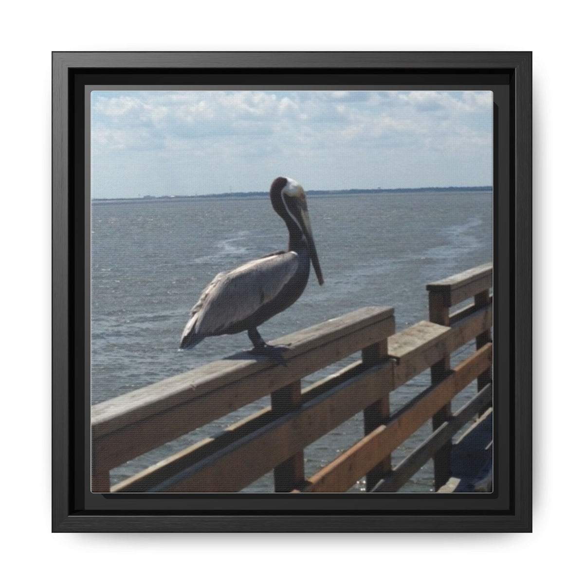 Brown Pelican Photo Canvas Framed Wall Art | Coastal Pier Seascape (USA)