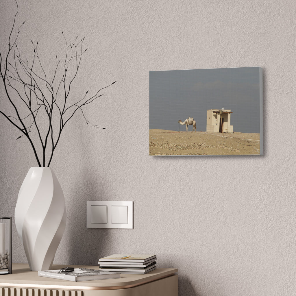 Desert Camel Landscape Canvas Wall Art