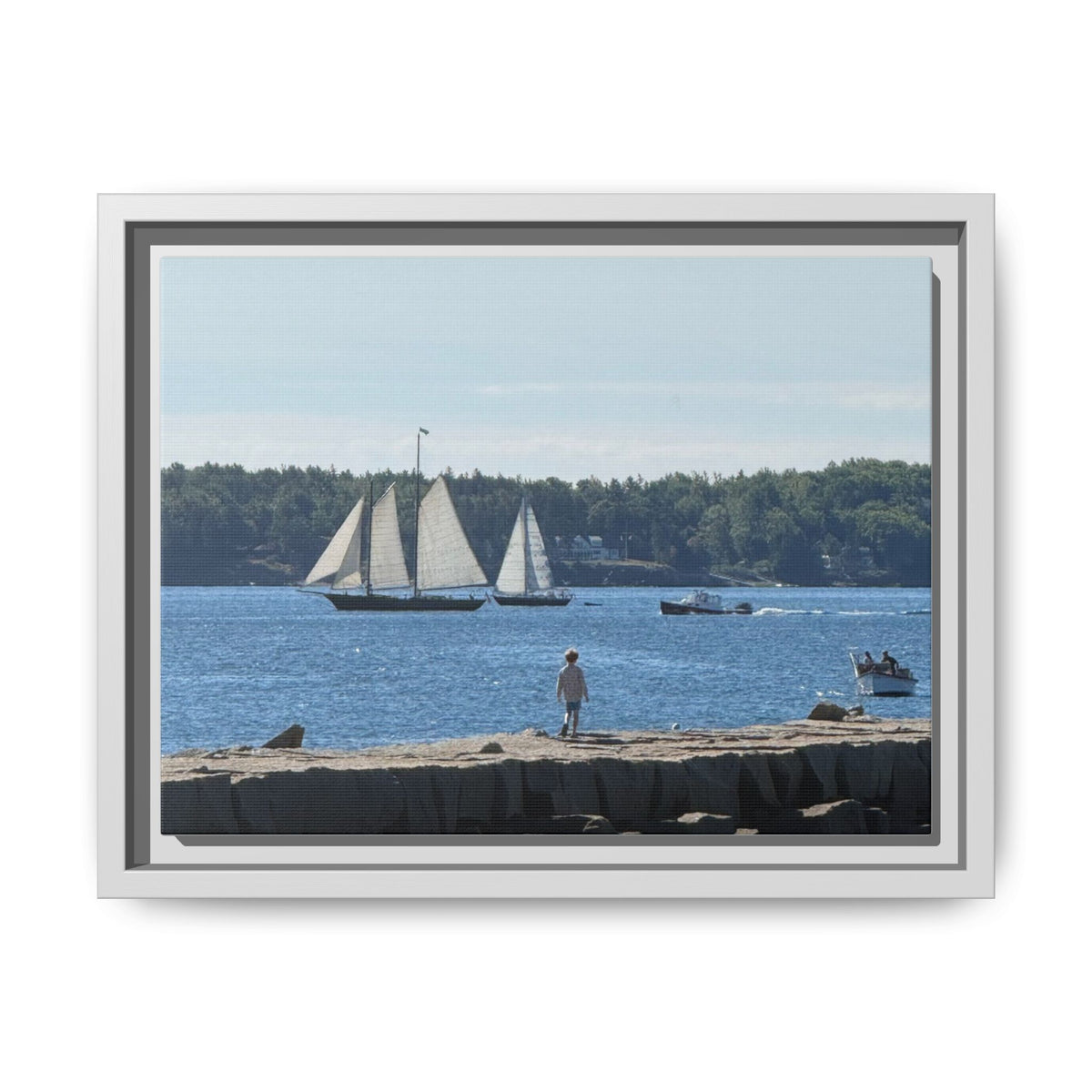 Framed Canvas Sailboat Harbor Seascape Wall Art