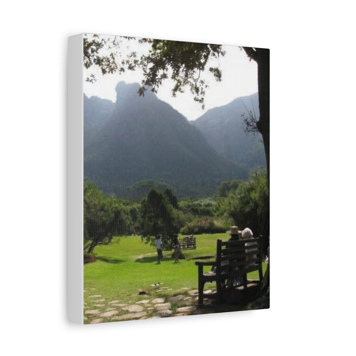 Mountain Valley Park Scene Matte Canvas Stretched 1.25" (South Africa)