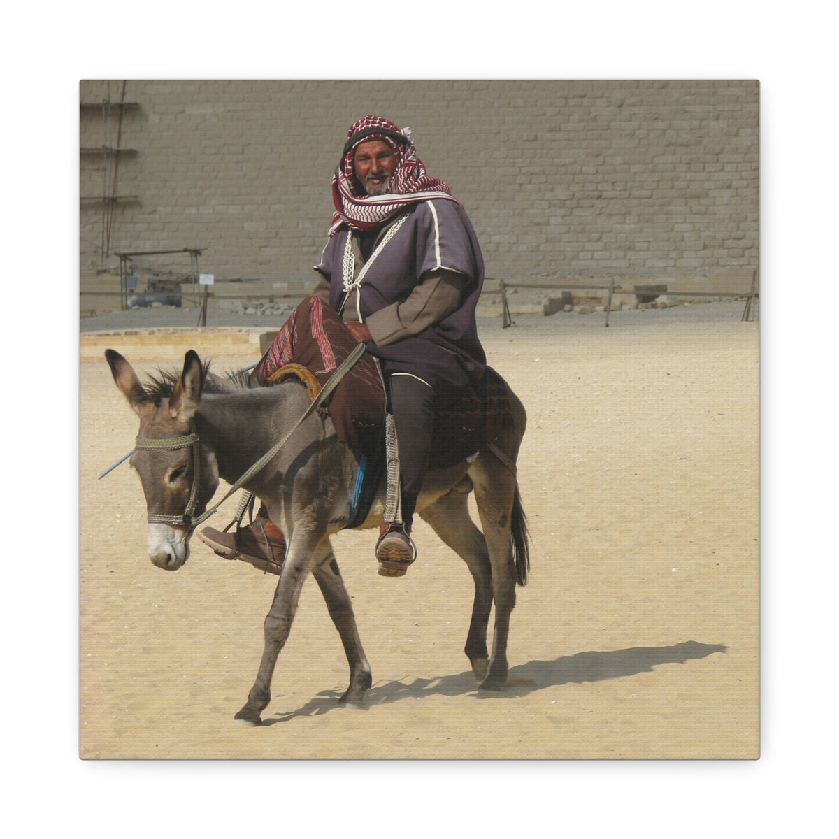 Desert Traveler on Donkey Matte Canvas Wall Art