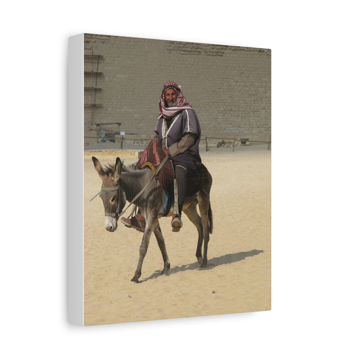 Desert Traveler on Donkey Matte Canvas Wall Art