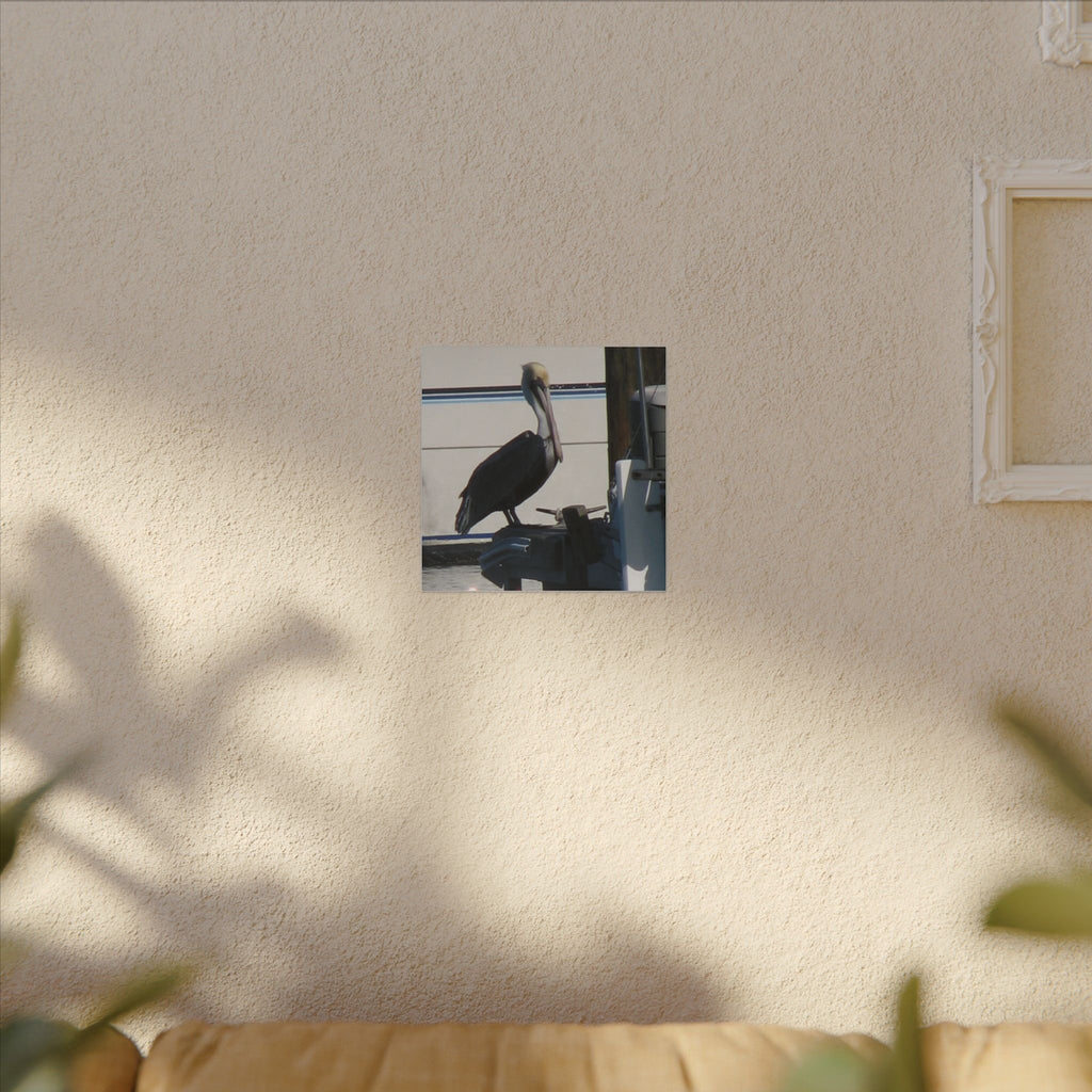 Pelican Coastal Wildlife Matte Canvas Wall Art