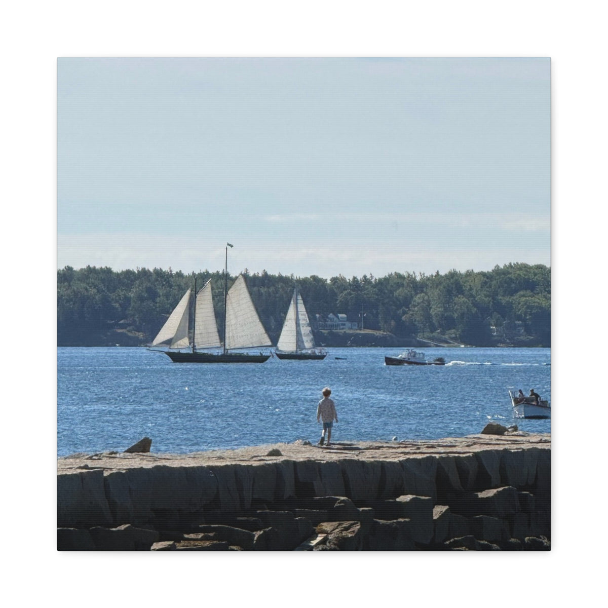 Schooner Sailboat Canvas (Rockland, Maine, USA)