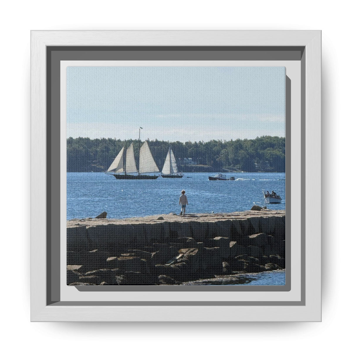 Framed Canvas Sailboat Harbor Seascape Wall Art