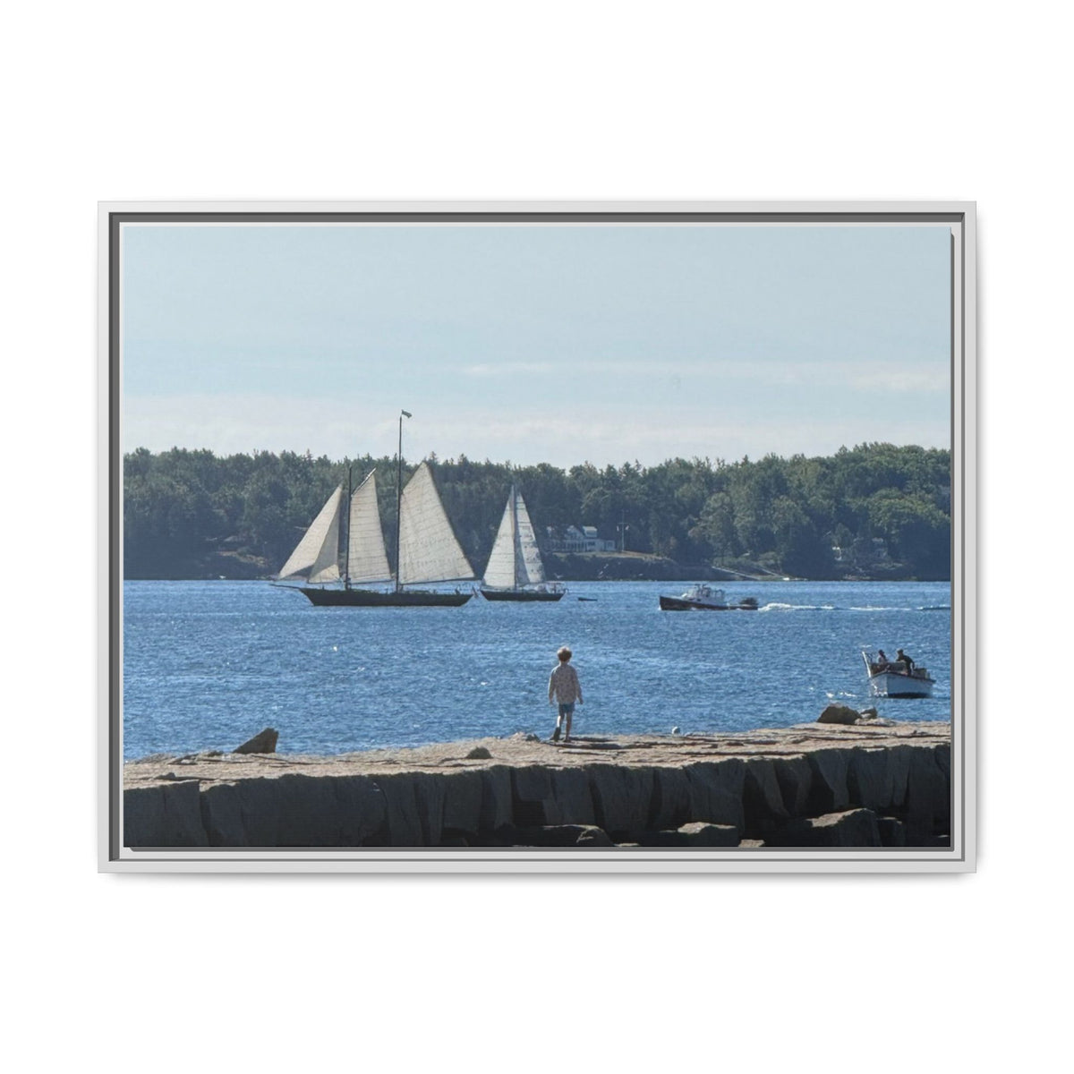 Framed Canvas Sailboat Harbor Seascape Wall Art